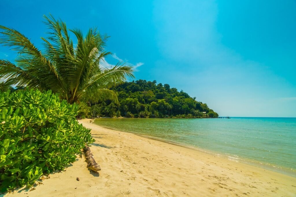 things to do in goa , what to do in goa , must do things in goa , things to see in goa , what to see in goa , things to do in goa for adults
